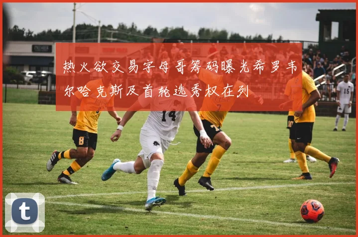 热火欲交易字母哥筹码曝光希罗韦尔哈克斯及首轮选秀权在列