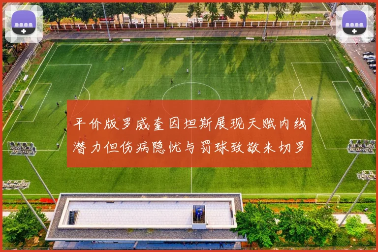 平价版罗威奎因坦斯展现天赋内线潜力但伤病隐忧与罚球致敬米切罗